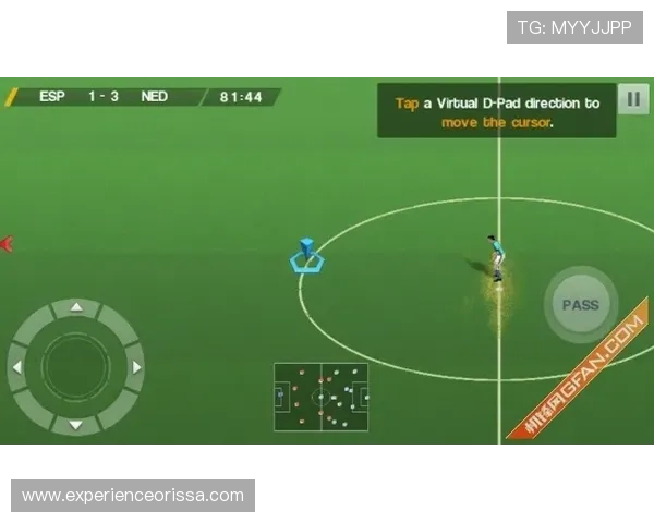 足球外围投注平台的技术支持与客户服务质量评估